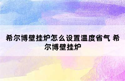 希尔博壁挂炉怎么设置温度省气 希尔博壁挂炉